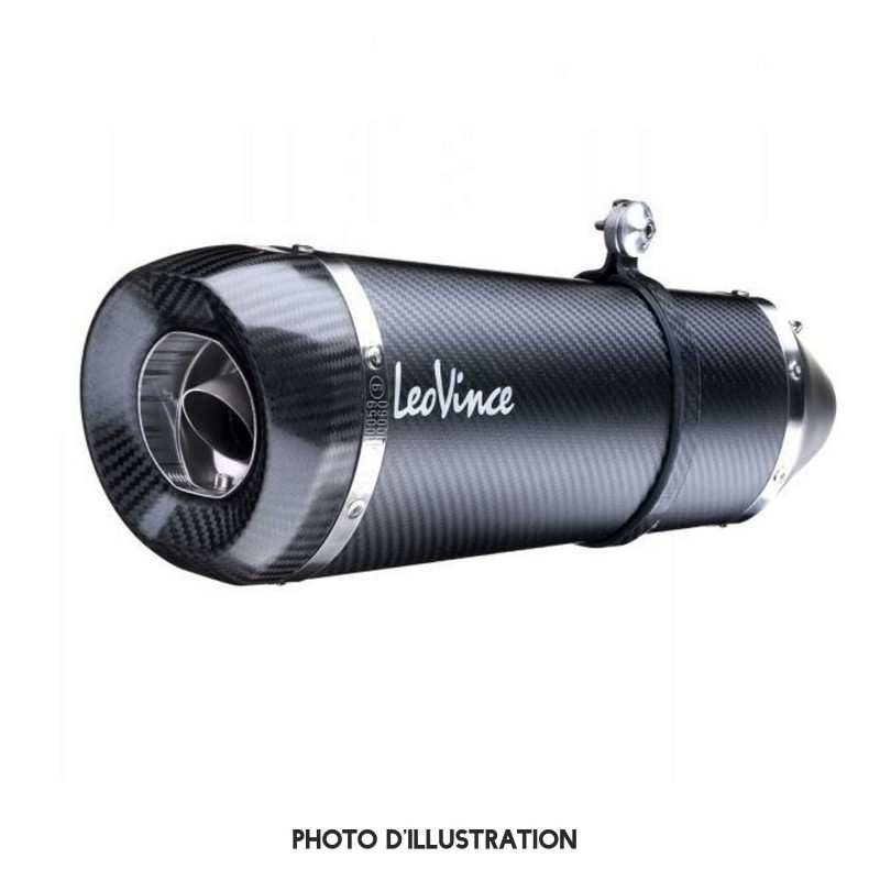 db killer leovince lv 10