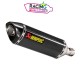 Photo d'illustration: Silencieux akrapovic biseauté- chicane 53mm