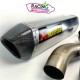 Silencieux titane akrapovic de la ligne complète aprilia RSV4-Tuono V4