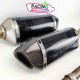 Demi-ligne akrapovic carbone kawasaki Z1000 & Z1000SX 2010-2020