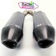 Demi-ligne akrapovic carbone kawasaki Z1000 & Z1000SX 2010-2020