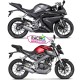Ligne complète Akrapovic Yamaha R125 | MT-125 2014-2018
